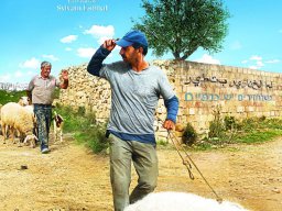 Das Schwein von Gaza