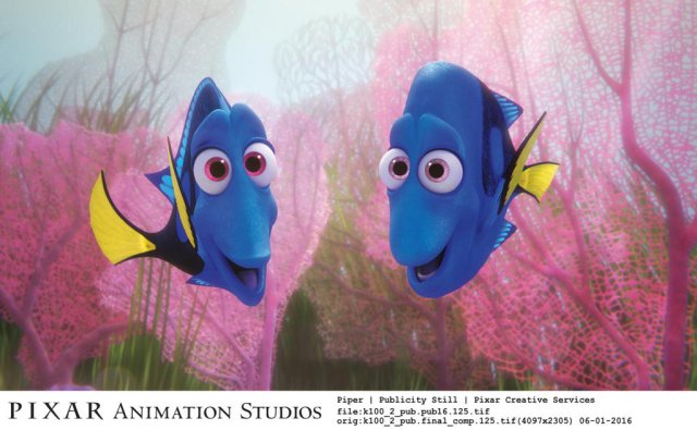 finding-dory-196845_1_k100_2_pub_pub16_125_r1_cmyk_klein.jpg_rgb